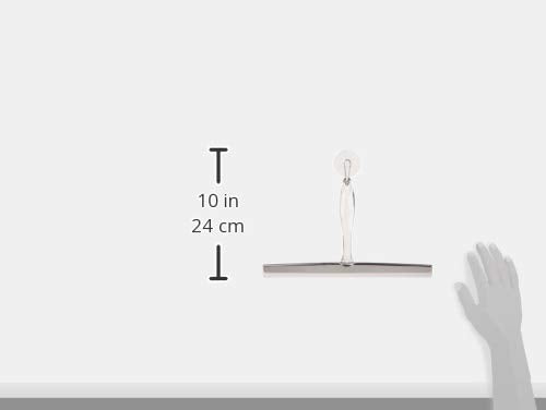iDesign Zia Metal and Plastic Bathroom Squeegee for Shower, Glass Doors, Floors, Mirrors, with Suction Hook Holder , 12 Inches, Clear and Stainless Steel | Wall Hook Included - color: Clear/Stainless, style: Pack of 1