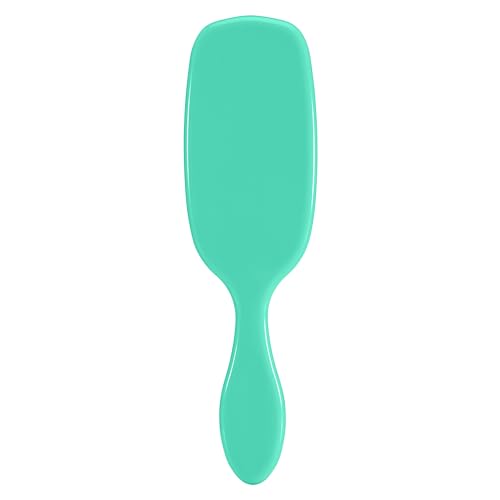 Wet Brush Shine Enhancer, Aqua, Natural Boar Bristles with Ultra-Soft IntelliFlex Technology, Leaves Hair Shiny and Smooth, Detangling Brush for All Hair Types, For Women, Men, Wet & Dry Styling - color: Amazon Aqua, size: 1 Count (Pack of 1)