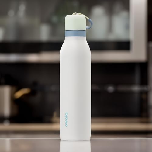 Owala FreeSip Twist Insulated Stainless Steel Water Bottle with Straw for Sports and Travel, BPA-Free, 18-oz, Mint/White (Iced Breeze) - color: Iced Breeze, size: 18 Ounces