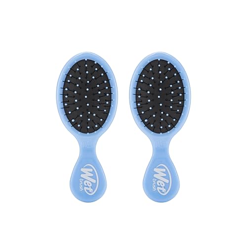 Wet Brush Detangling Brush, Mini Detangler (Sky), Wet & Dry Tangle-Free Hair Brush for Women & Men, No Tangle, Soft and Flexible Bristles for Straight, Curly, and Thick Hair (Pack of 2) - color: Sky, size: 2 Count (Pack of 1)