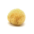 Neptune Caribbean Sea Sponge for Face & Body, Small Approx. 4-5 Inches, Ultra-Soft Bath Sponge, Eco-Friendly & Biodegradable