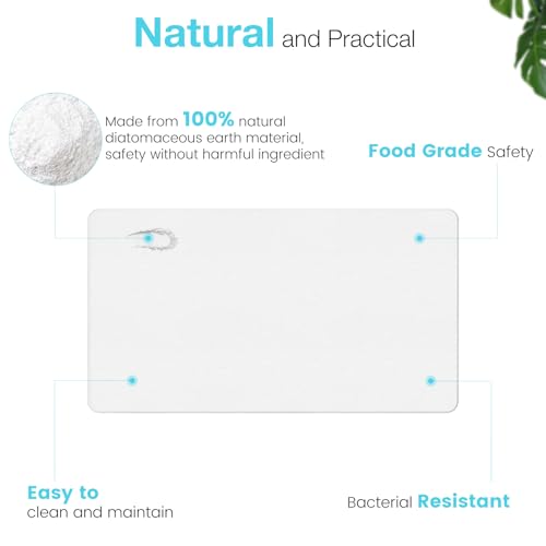 Large Diatomite Stone Bath Mat, Premium Non-Slip Natural Diatomaceous Earth Bathtub Quick Drying Mats for Bathroom Floor (30" x 17" White) - color: White, size: 30" x 17"