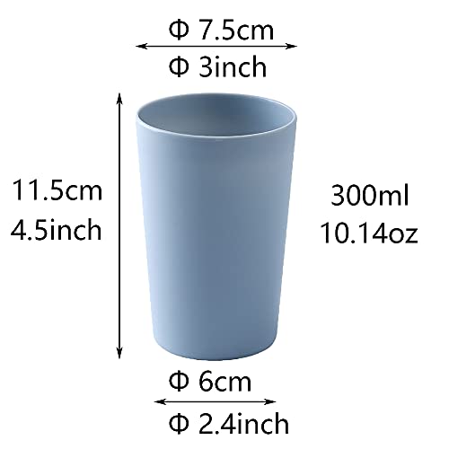 Simple Drinking Cup, Household Plastic Cup, Couple Toothbrush Holder, Large Capacity 300ml (10 oz) Mug (Blue & White)