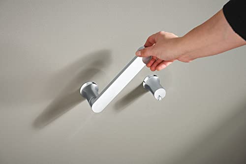 Moen Genta LX Modern Wall Mount Pivoting Toilet Paper Holder for Bathroom, Chrome, BH3808CH - color: Chrome
