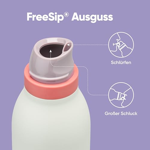 Owala FreeSip Twist Insulated Stainless Steel Water Bottle with Straw for Sports and Travel, BPA-Free, 24-oz, Purple/Green (Minty Horizons) - color: Minty Horizon, size: 24 Ounces