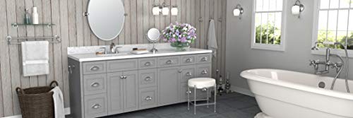 Gatco 4123 Tavern Toilet Paper Holder, Polished Nickel / Wall Mounted Euro Style Toilet Tissue Holder, Zinc - color: Polished Nickel, style: Single