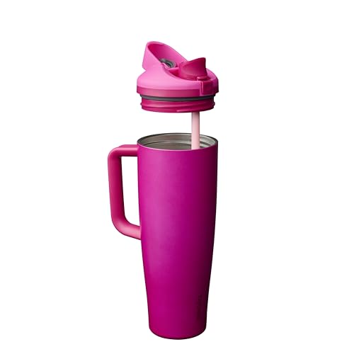Owala FreeSip Tumbler Insulated Stainless Steel Water Bottle with Built-in Straw and Side Handle, For Travel, Work, School, and Sports, 40oz, BPA Free, Leak Proof, Read My Lips - color: Read My Lips, size: 40 Ounces