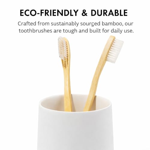 Yew Design Matte White Toothbrush and Toothpaste Holder and Cup for Bathroom Vanity and Countertop, Round Organizer for Electric Toothbrushes, Floss, Razors, Cotton, and Mouthwash - color: Round Matte White