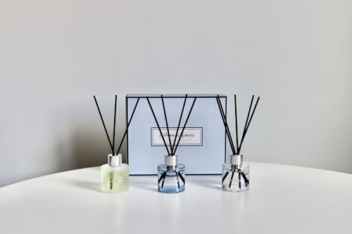 Reed Diffuser Set of 3 | Aromatherapy Fragrance Oil | 12 Sticks and 6 Rattan Balls, 3 x 50ML | Home, Office, Bathroom, Bedroom Essentials (Eucalyptus, Jasmine, Lemongrass, Sky Blue)