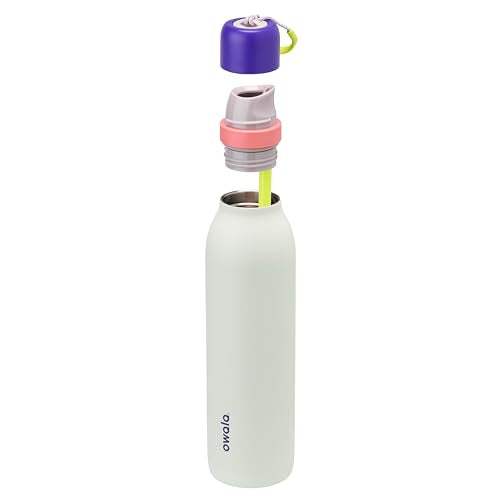 Owala FreeSip Twist Insulated Stainless Steel Water Bottle with Straw for Sports and Travel, BPA-Free, 24-oz, Purple/Green (Minty Horizons) - color: Minty Horizon, size: 24 Ounces