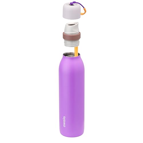 Owala FreeSip Twist Insulated Stainless Steel Water Bottle with Straw for Sports and Travel, BPA-Free, 24-oz, Purple/Purple (California Grapevine) - color: California Grapevine, size: 24 Ounces