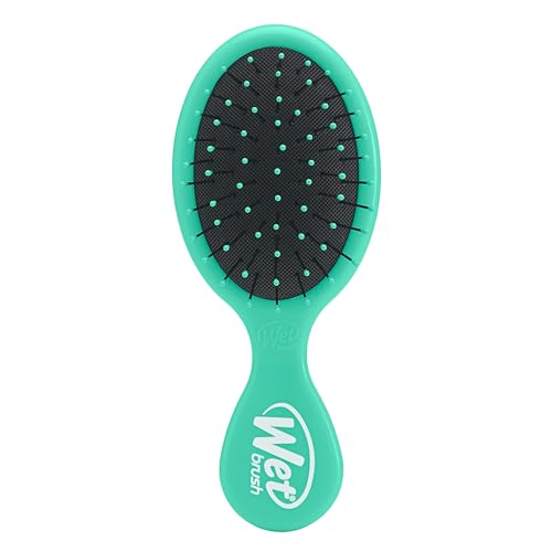 Wet Brush Squirt Detangling Brush, Amazon Exclusive Aqua, Mini Detangler, No Tangle Ultra-Soft IntelliFlex Bristles, Wet & Dry Styling Hairbrush for Women & Men, All Hair Types - color: Amazon Aqua, size: 1 Count (Pack of 1)