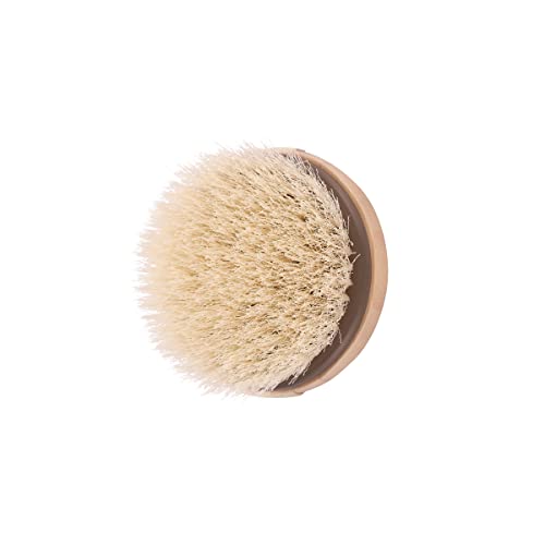 EcoTools Dry Body Brush, For Post Shower & Bath Skincare Routine, Removes Dirt & Promotes Blood Circulation, Helps Reduce Appearance of Cellulite, Eco-Friendly, Vegan & Cruelty-Free, 1 Count - size: 1 Count (Pack of 2)
