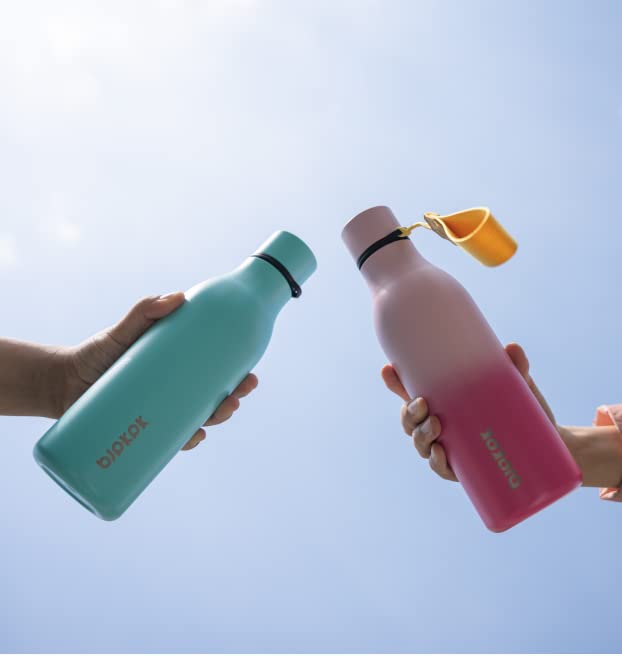 BJPKPK Insulated Water Bottles, 18 oz Stainless Steel Metal Water Bottle with Strap, BPA Free Leak Proof Jugs, Mugs, Flasks, Reusable Thermal Flasks for Sports & Travel, Cherry - color: Cherry, size: 18 Ounces, style: 18oz