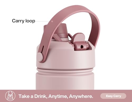 POWCAN 26 oz Insulated Water Bottle with 2-in-1 Straw and Spout Lid, Keep Cold 24H, Leak-Proof, Fits in Car Cup Holder, Stainless Steel Water Bottle for Sports, Travel, Gym, and School (Dried Rose) - color: Dried Rose, size: 26 Ounces