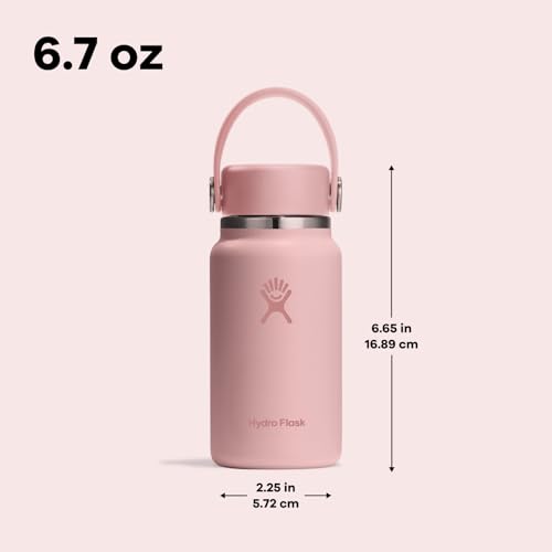 Hydro Flask Micro Bottle - Leak Proof Purse or Pocket Flask - Insulated Mini Water Bottle 6.7 Oz Reef - color: REEF
