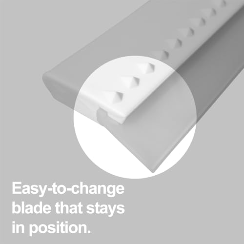 Squeegee for Shower Door, Car Windshield, and Glass Window - 2 Extra Silicone Replacement Blades - Foam Handle - Shower Squeegee - White - color: White, size: Plastic