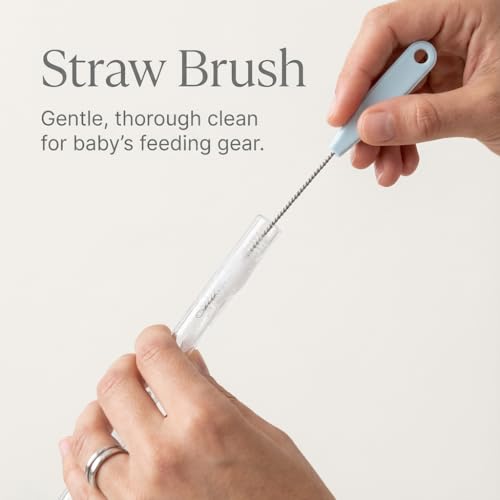 Ariseno 4-in-1 Baby Bottle Brush Set - Including Brushes for Bottles, Straws, Caps, & Nipples - BPA-Free (Grey) - color: Gray-nylon
