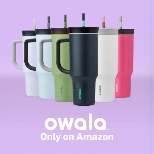 Owala Stainless Steel Triple Layer Insulated Travel Tumbler with Spill Resistant Lid, Straw, and Carry Handle, BPA Free, 40 oz, Gray (Foggy Tide) - color: Foggy Tide, size: 40 Ounces (Pack of 1)