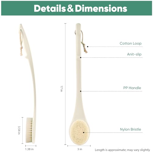 Back Scrubber for Shower, 17-Inch Shower Brush for Men and Women, Long Handle Exfoliating Body Brush, Medium Bristle Stiffness for Dry or Wet Brushing (Cream White) - size: 17 in - Cream White