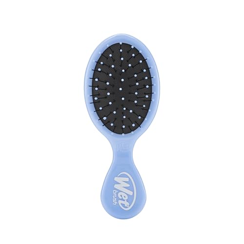 Wet Brush Squirt Detangling Brush, Sky, Mini Detangler, No Tangle Ultra-Soft IntelliFlex Bristles, Wet & Dry Styling Hairbrush for Women & Men, All Hair Types - color: Sky, size: 1 Count (Pack of 1)