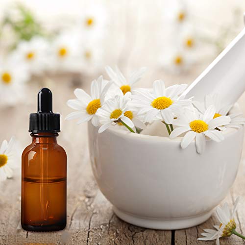 24 Pack 1oz Amber Glass Bottles with Glass Eye Droppers for Essential Oils, Perfumes & Lab Chemicals (Brush, Funnels, 2 Extra Droppers, 36 Pieces Labels & 30ml Measuring Cup Included) - color: Amber