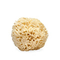LATHER - Natural Sea Wool Sponge, 4-5" - Organic Exfoliating Body Scrubber - Soft, Gentle Cleansing - Hypoallergenic - All Skin Types - Florida Natural Loofah Sponge - Cruelty Free - Beauty & Skincare - style: Small