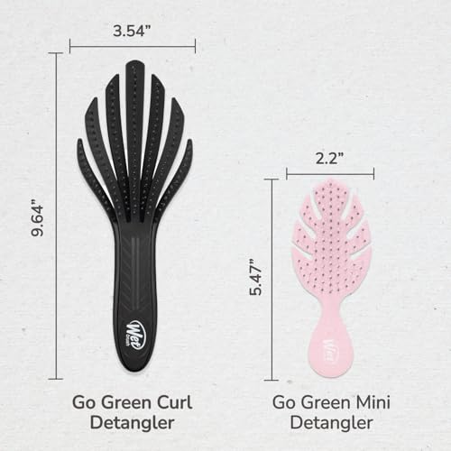 Wet Brush Go Green Curl Detangler, Plant Based, Black | Ultra Soft IntelliFlex Bristles Designed for Curly Hair, Plant Based Eco-Friendly Materials, Gently Detangles, No Breakage - color: Black, size: 1 Count (Pack of 1)
