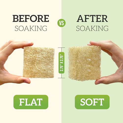 Natural Loofah Dish Sponge (Pack 30) Multipurpose Dish Sponges - 100% Biodegradable Compostable Dishwashing Scouring Pad Zero Waste (2.75" x 2.75" Each) - size: Pack 30
