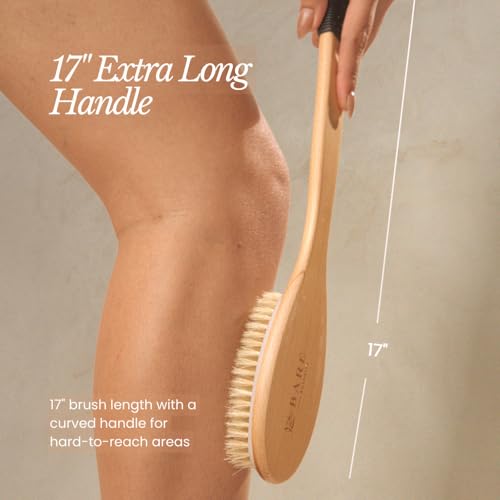 Bare Botanics 17" Extra Long Dry Body Brush - Medium Firmness Back Scrubber | Ergonomic Curved Handle with Silicone Grip and Hang Rope | Natural Bristles | For Shower Use - size: Long Back Brush