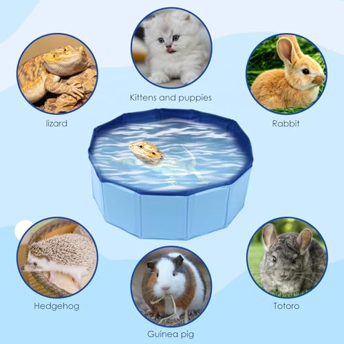 Foldable Bearded Dragon Bathtub with Brush Towel Set Reptile Accessories | Bearded Dragon Pool, Reptile Bathing Pool for Lizards,Tortoises and Small Reptiles, Bearded Dragon Accessories