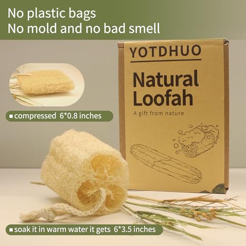 Natural Loofah Sponge Exfoliating Body Scrubber(6" Economical 4Pack),Organic Luffa for Women and Men in Shower - color: 4pack 6"