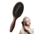 No Shampoo Hair Brush for Oily Hair - Scalp Massager Comb for Growth and Care - Multifunctional Cleansing Brush