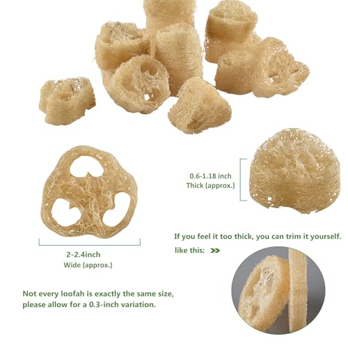 Natural Loofah Sponge for Soap Making, 20 Pack Organic Loofahs Slices Cuts Set, Loofa Exfoliating Body Scrubber, Shower Sponge Luffas for Women and Men - size: 1 Count (Pack of 20)