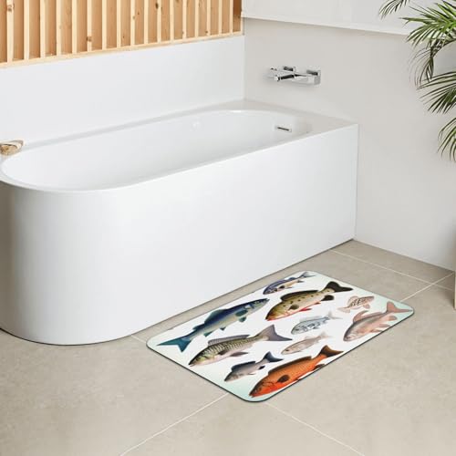 Stone Bath Mats for Bathroom Diatomaceous Earth Bath Mat Super Absorbent Floor Mat Different Fish Stone Drying Mats Quick Drying Diatomite Shower Mat for Bathtub Pad 15.7x23.6in - color: Different Fish