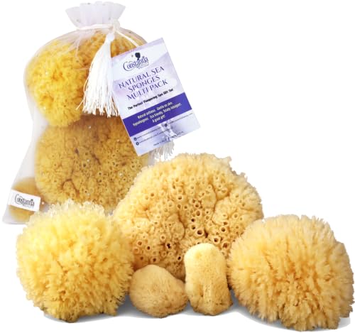 Real Natural Sea Sponges Multipack - 5pc Spa Gift Set in Premium Bag, Kind on Skin, for Bath Shower Facial Cleansing, Pamper Moms Brides Girlfriends & Teens (5 Pack Standard Packaging) - style: 5 Piece set in bag