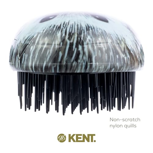 Kent PHOG Pebble Scalp Massager Shampoo Brush and Travel Size Detangling Brush - Scalp Scrubber for Dandruff and Kids' Hair Detangler (Hedgehog) - color: Hedgehog