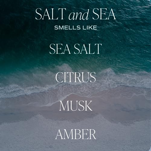 Sweet Water Decor Salt & Sea Reed Diffuser Set - Sea Salt Citrus & Musk Amber Scent Diffuser - Reed Diffusers for Home with Long Lasting Fragrance - Non-Toxic Oil Reed Diffuser - Made in the USA - style: Salt & Sea No. 35
