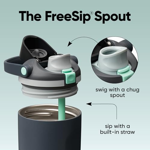 Owala FreeSip Sway Insulated Stainless Steel Water Bottle with Two-Way Spout, Built-In Straw and Bucket Handle, Made for Travel, School, and Sports, 30oz, BPA Free, Leak Proof, Foggy Tide - color: Foggy Tide, size: 30 Ounces