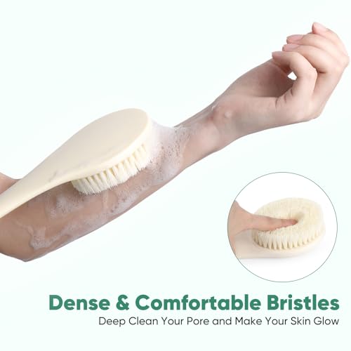 Back Scrubber for Shower, 17-Inch Shower Brush for Men and Women, Long Handle Exfoliating Body Brush, Medium Bristle Stiffness for Dry or Wet Brushing (Cream White) - size: 17 in - Cream White