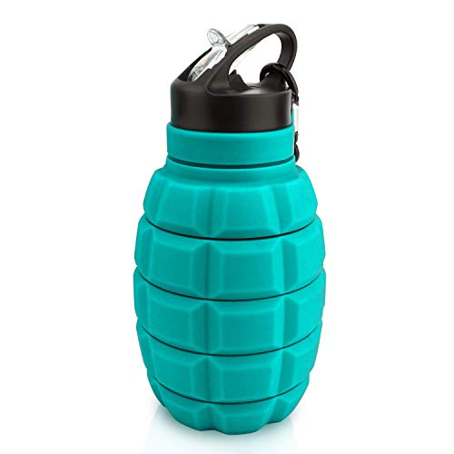 QiCheng&LYS 19.5oz Collapsible Travel Water Bottle, Reuseable BPA Free Silicone Foldable Water Bottles for Travel Gym Camping Hiking, Portable Leak Proof Sports Water Bottle with Carabiner(Blue) - color: Blue