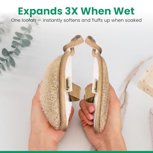 Thalen Natural Loofah Exfoliating Body Scrubber | Egyptian Loofah Sponge + Terrycloth | Shower Scrubber | Back Scrubber | Body Exfoliator | Plastic Free, No PFAS | Organic Bath Sponge – Pack of 3