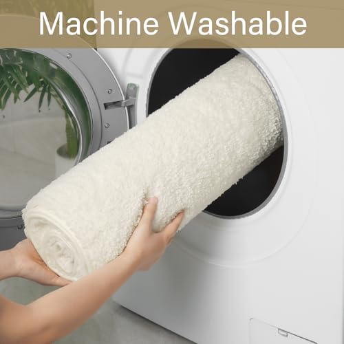 LOCHAS Bathroom Rug Runner 24x48 Inch, Soft Thick Absorbent Microfiber Bath Rugs for Bathroom, Machine Washable, Shaggy Plush Non Slip Bath Mat for Tub, Shower Floor, Quick Dry Mats, Cream White - color: Cream White, size: 48x24 inch (Rectangular)