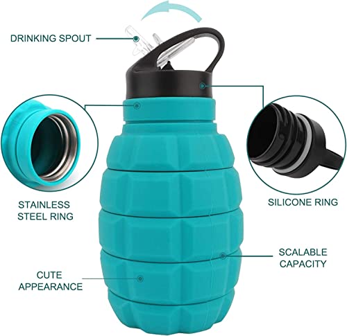 QiCheng&LYS 19.5oz Collapsible Travel Water Bottle, Reuseable BPA Free Silicone Foldable Water Bottles for Travel Gym Camping Hiking, Portable Leak Proof Sports Water Bottle with Carabiner(Blue) - color: Blue