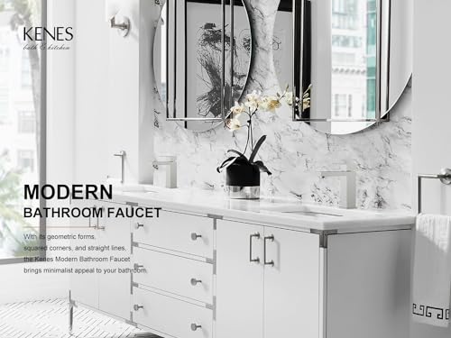 KENES Single Handle Bathroom Sink Faucet, Brushed Nickel Vanity Faucet for Bathroom Sink, with Pop Up Drain Stopper & Water Supply Lines LJ-9031 - color: Brushed Nickel, size: Short