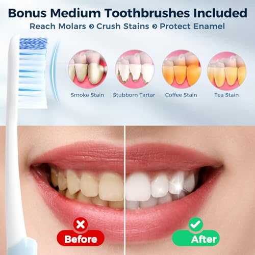 Aluminum Toothbrush Travel Case with 2 Medium Bristle Toothbrushes, Portable Complete Toothbrush Travel Kit, Toothbrush Holder for Bathroom, Camping, Business Trip - color: Medium Toothbrush, size: 1 Pack (Standard)