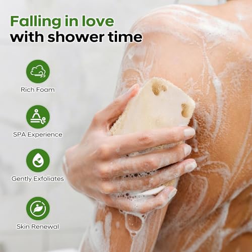 Natural Loofah Sponge 4 Pack, Organic Luffa Sponges Body Scrubber, Exfoliating Loofah Scrubber for Shower, Eco-Friendly Biodegradable Bath Loofahs for Men & Women - size: 1 Count (Pack of 4)