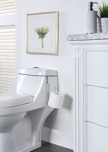 SunnyPoint Over The Tank Toilet Tissue Paper Roll Holder Dispenser and Reserve for Bathroom Storage and Organization - Metal, Hanging, Holds 1 Roll (Chrome) - color: Chrome