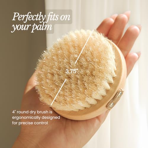 Bare Botanics Dry Brushing Body Brush for Lymphatic Drainage | Medium Firmness Cruelty Free Natural Boar Bristles Improves Circulation and Gently Exfoliates | Ergonomic Elastic Strap - size: Palm Dry Brush