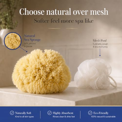 Real Natural Sea Sponges Multipack - 5pc Spa Gift Set in Premium Bag, Kind on Skin, for Bath Shower Facial Cleansing, Pamper Moms Brides Girlfriends & Teens (5 Pack Standard Packaging) - style: 5 Piece set in bag